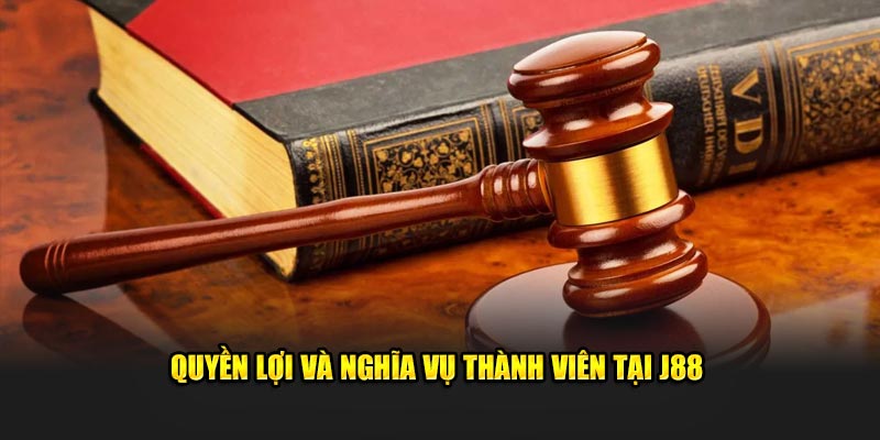 Quyền lợi và nghĩa vụ thành viên tại các điều khoản