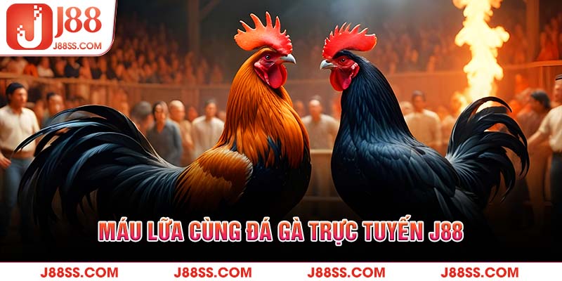 Máu lửa cùng đá gà trực tuyến